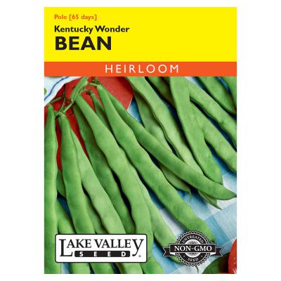 Lake Valley Seed Bean Kentucky Wonder