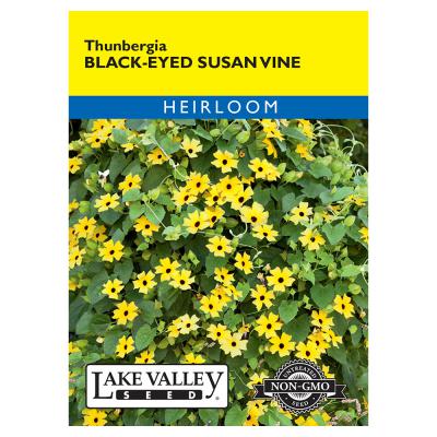 Lake Valley Seed Black Eyed Susan Vine