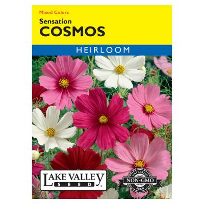 Lake Valley Seed Cosmos Sensation