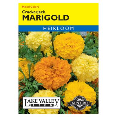 Lake Valley Seed Marigold Crackerjack