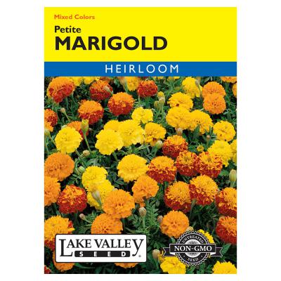 Lake Valley Seed Marigold Petite