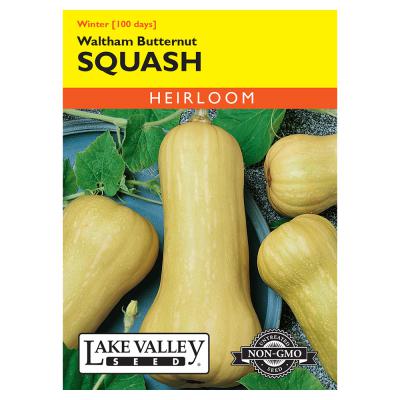 Lake Valley Seed Squash Waltham Butternut