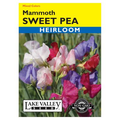 Lake Valley Seed Sweet Pea Mammoth