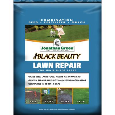 Jonathan Green Lawn Repair 100 Sq.Ft.