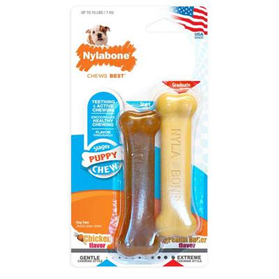 Nylabone Puppy Chew 2-Pack Chicken & Peanut Butter Flavors Petite