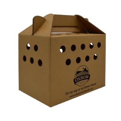 Oxbow Animal Health Enriched Life Small Animal Gotcha Box Small