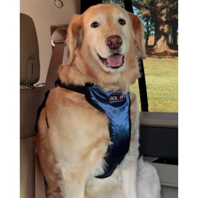 PetSafe Happy Ride Safety Dog Harness Black/Blue XL