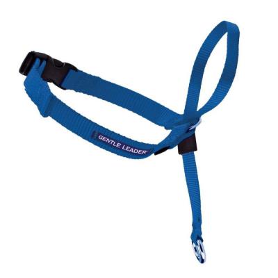 PetSafe Headcollar No Pull Dog Collar Royal Blue SM