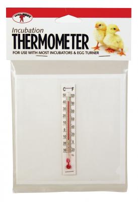 Incubator Thermometer