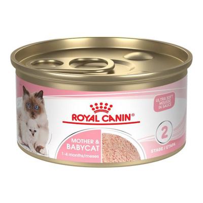 Royal Canin Mother & Babycat Ultra Soft Mousse in Sauce Canned Cat Food 3 oz.