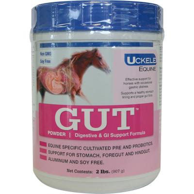 Uckele Gut Digestive And Gi Support Powder 2 lb.