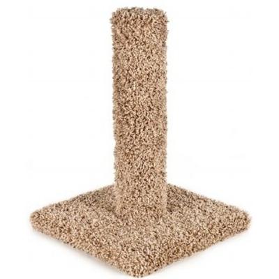 Kitty Cactus Scratch Post