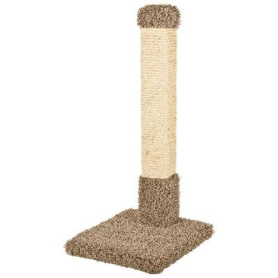 Ware Kitty Cactus with Sisal